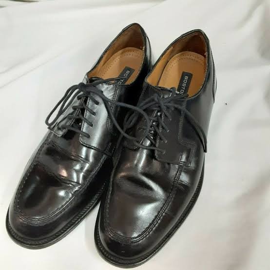 Bostonian Wing Tip Brogue